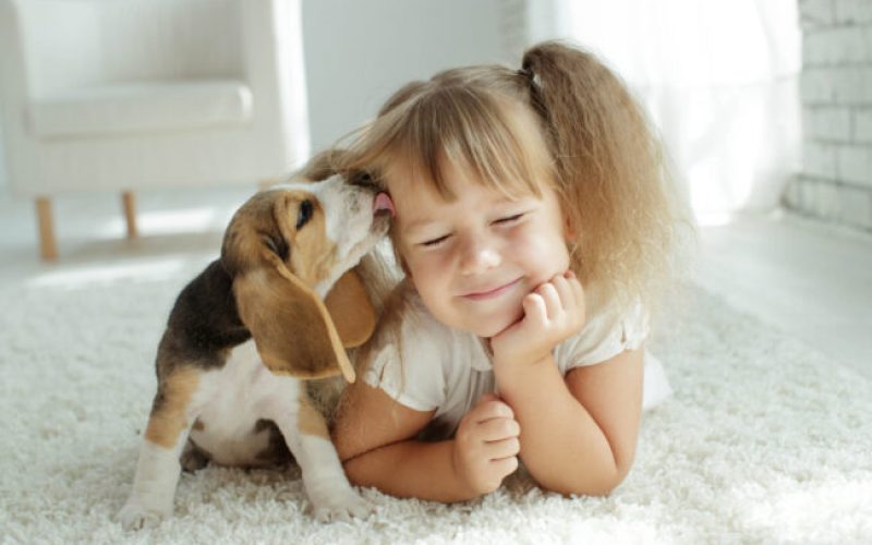 Child with dog