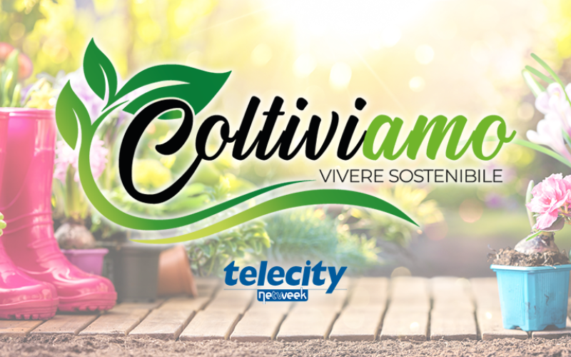 Coltiviamo news_2 (1)