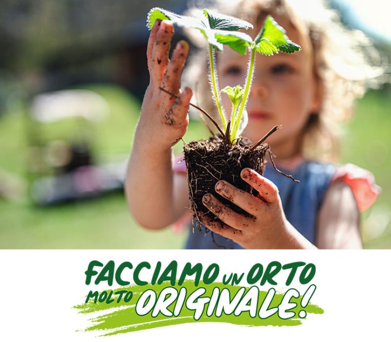 cover_orto2024
