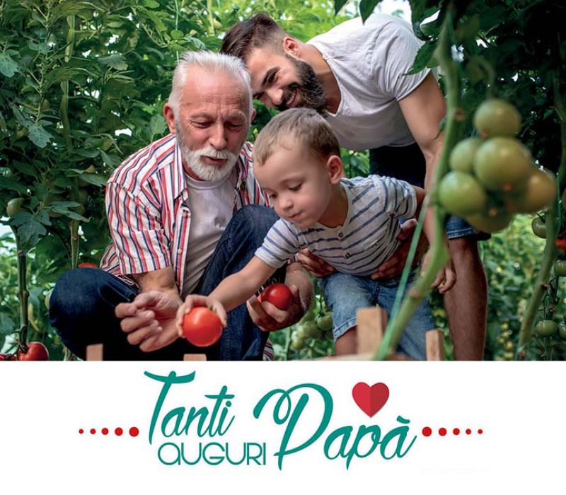 cover_papa