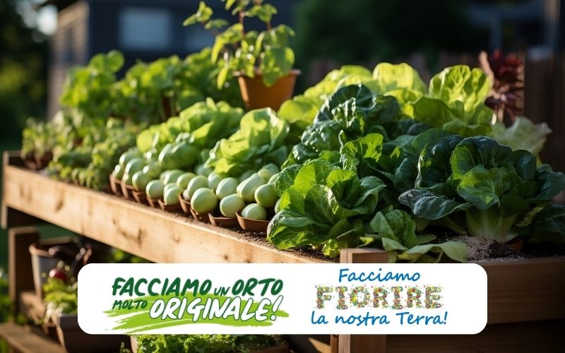 immagine per siti (800 x 500 px) (1)
