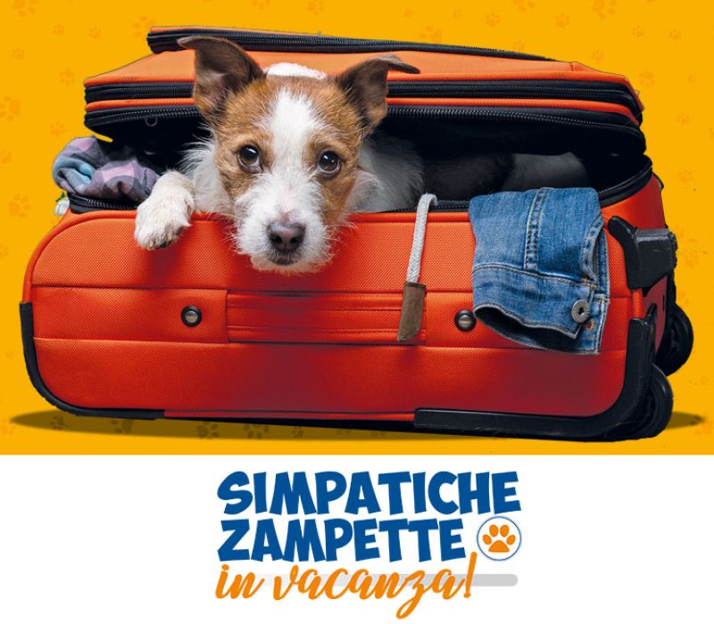 zampette_cover2023